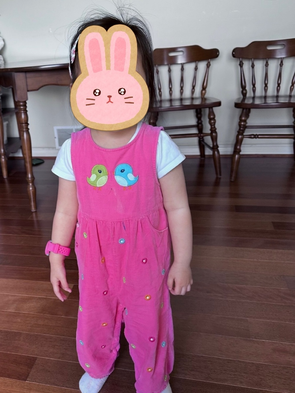 Gymboree Pink Cotton Toddler Outfit